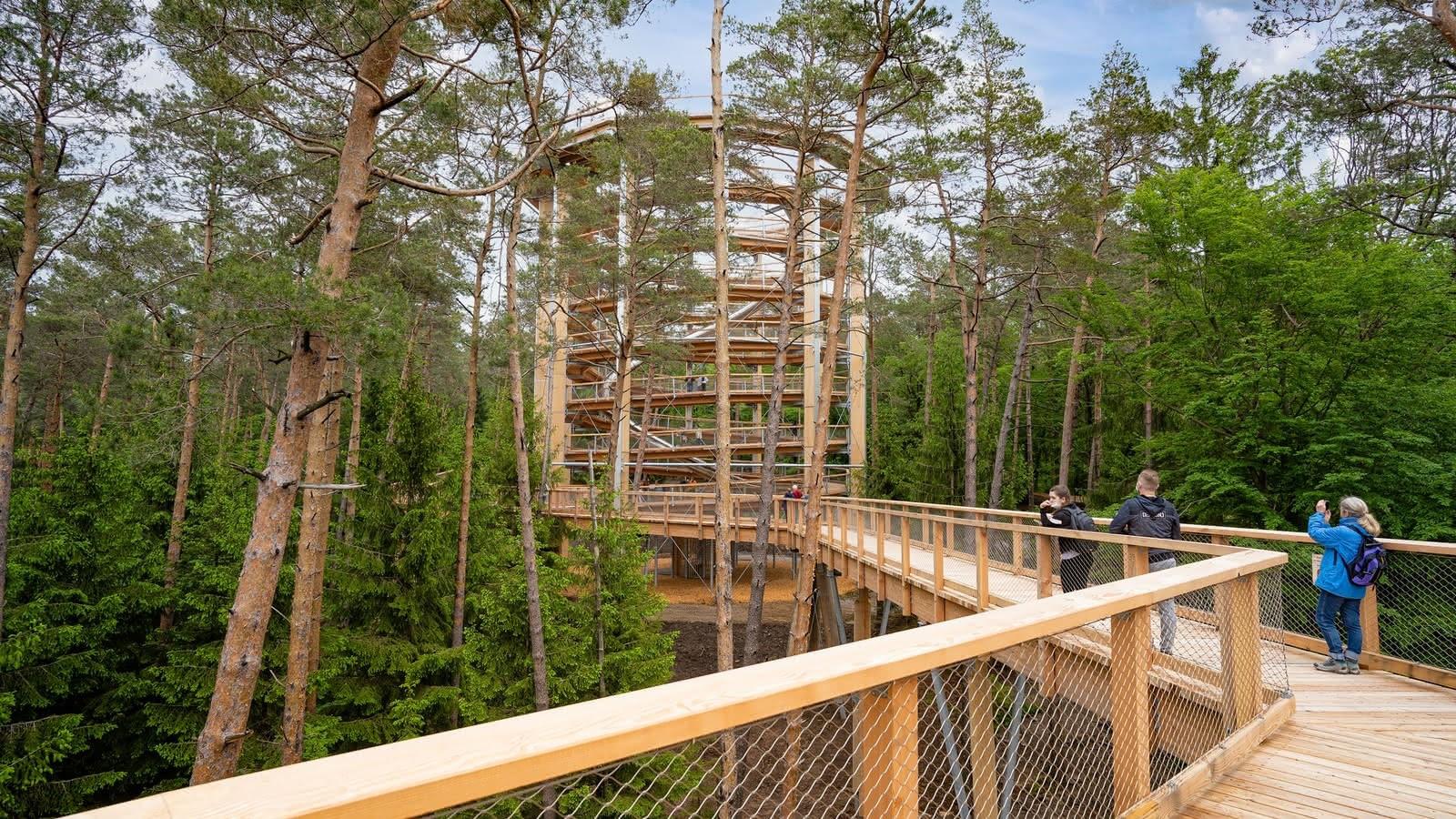 The Treetop Walk: Paradise in the Alsace Forest