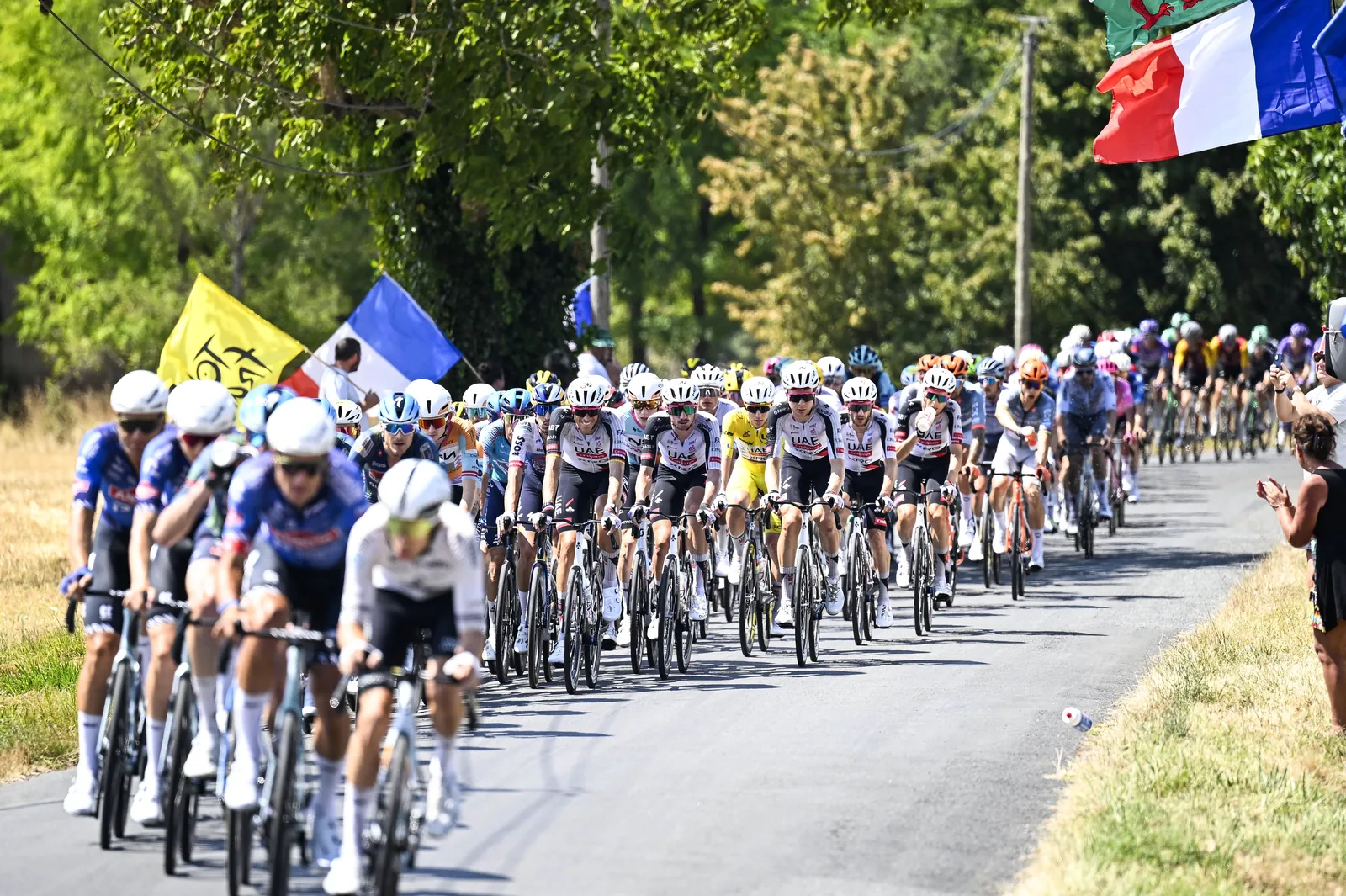 Fine watchmaking: exceptional timepieces, precision and the Tour de France by AC Private — AC Private