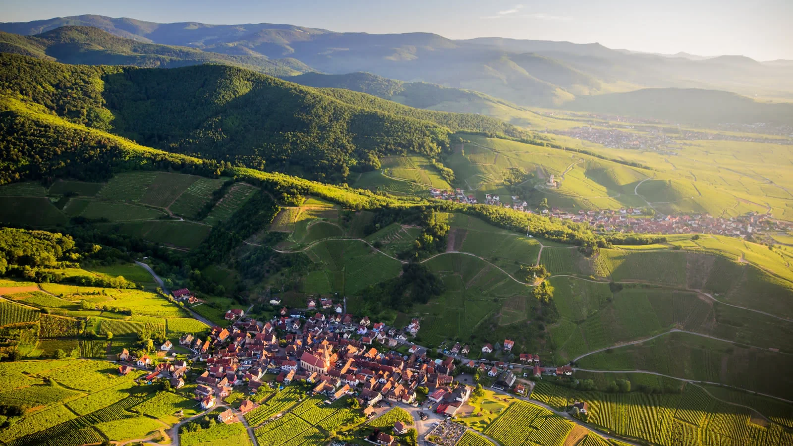 Alsatian wine village with vineyards and half-timbered houses