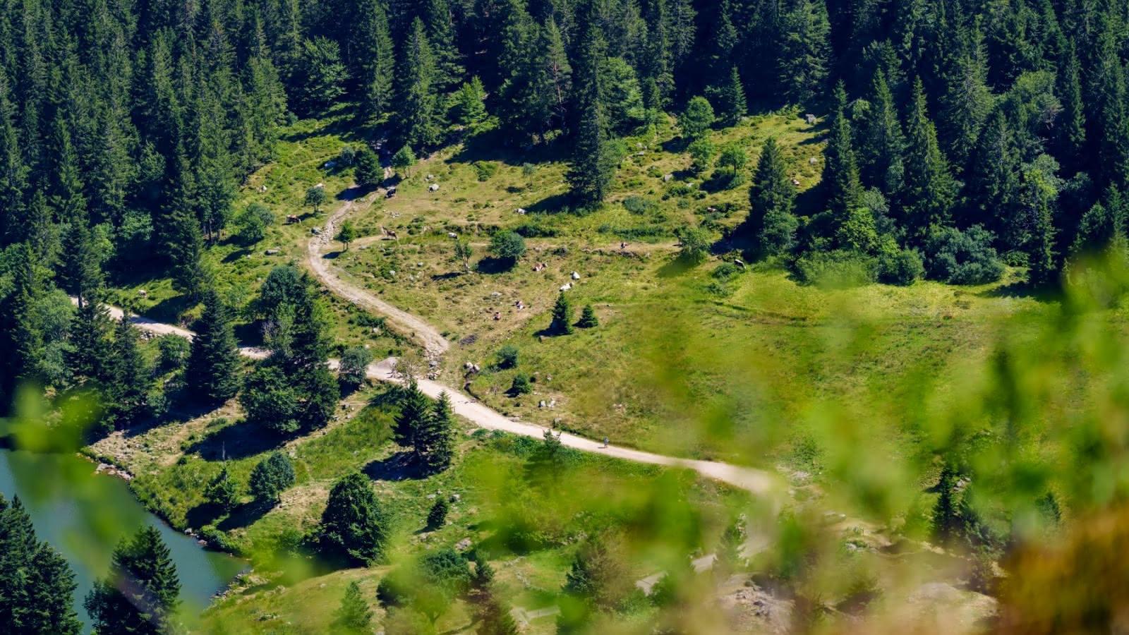 Concierge service in the Vosges: Gérardmer, La Bresse, Munster