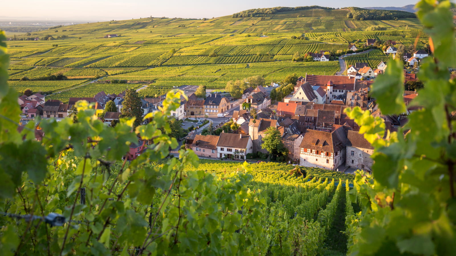 Les lieux d'exception en Alsace : guide conciergerie privée pour UHNWI — châteaux, domaines et expériences exclusives