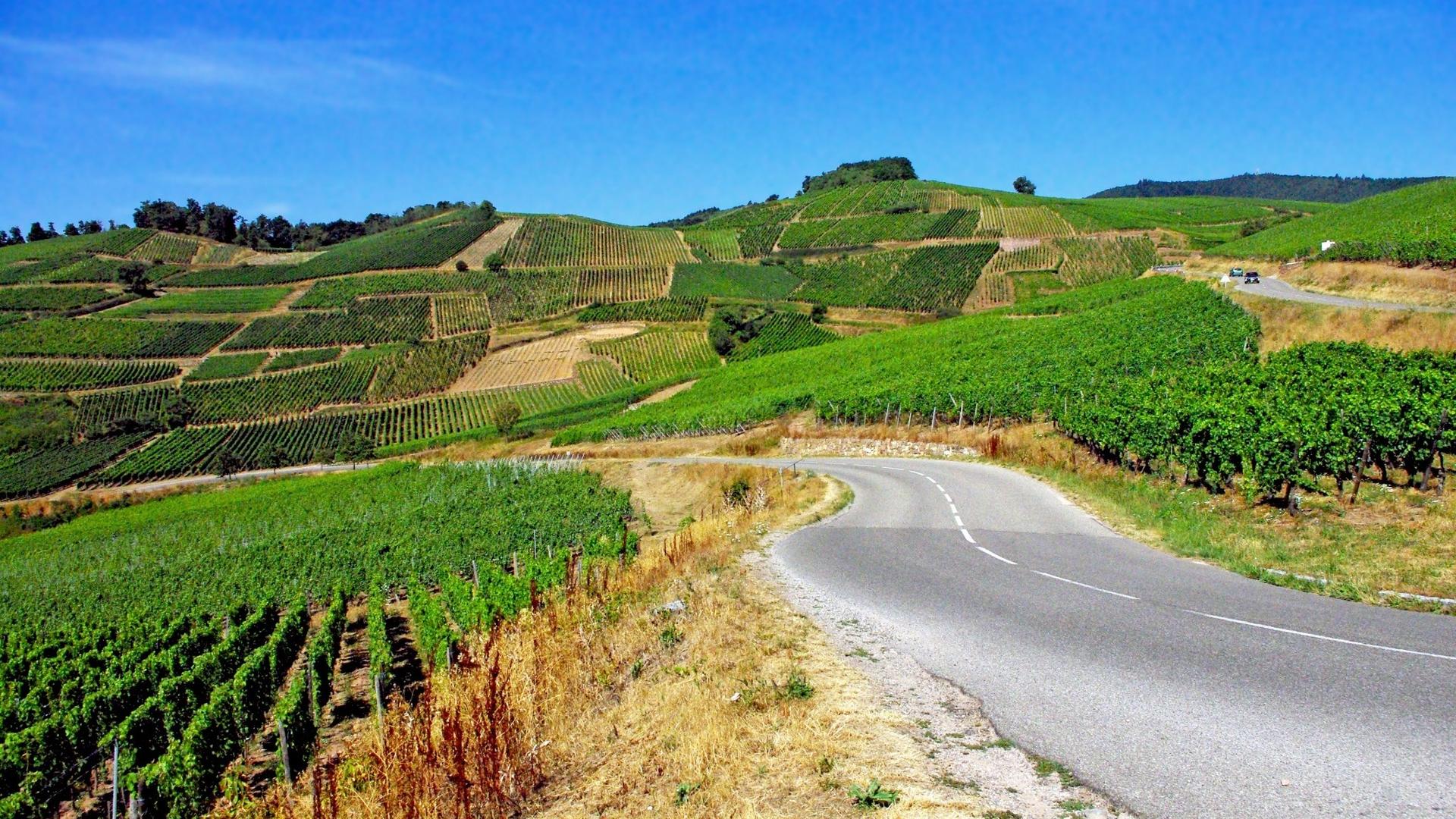 The Alsace Wine Route: 170 km of Discovery