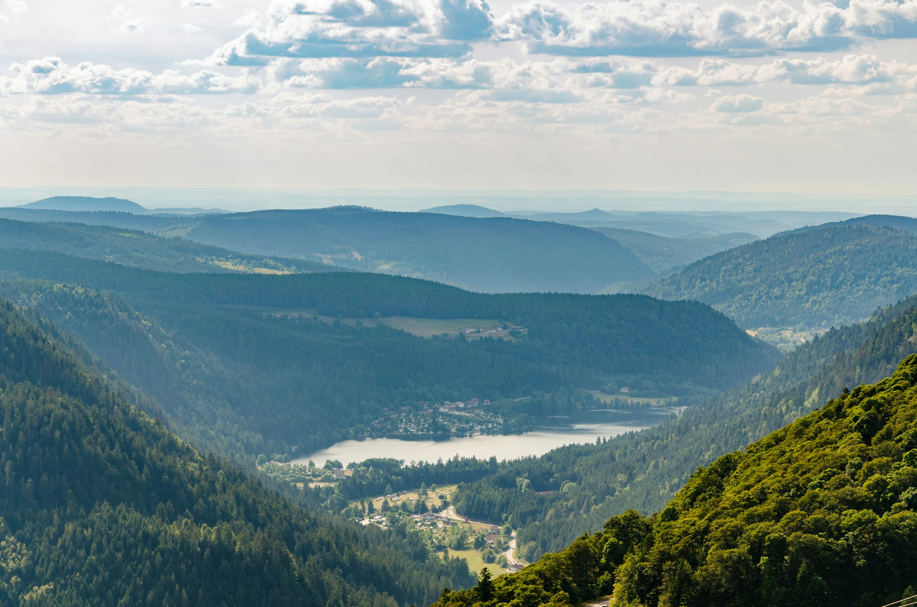 Executive Seminar in the Vosges Mountains: Complete Guide to Luxury Organisation