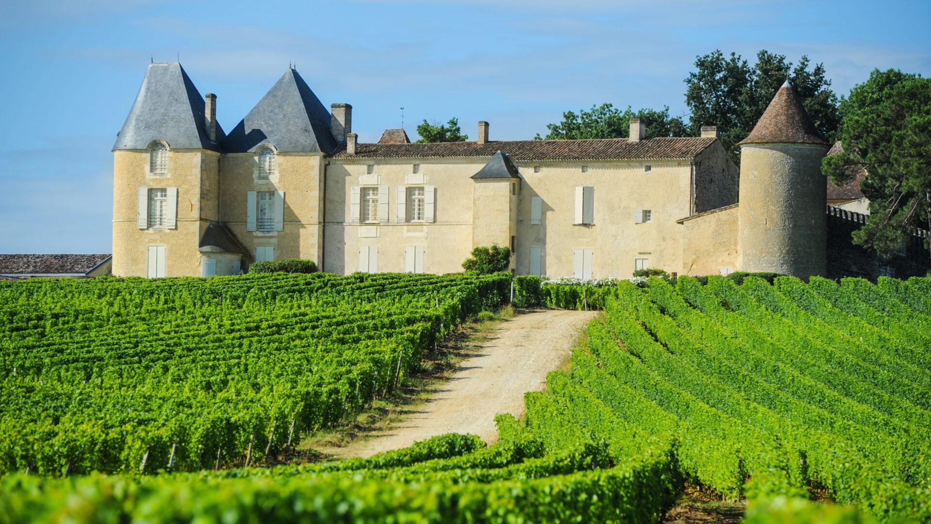 Domaine viticole sur la Route des Vins d’Alsace — Vignoble de Riesling
